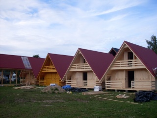 SDC10141